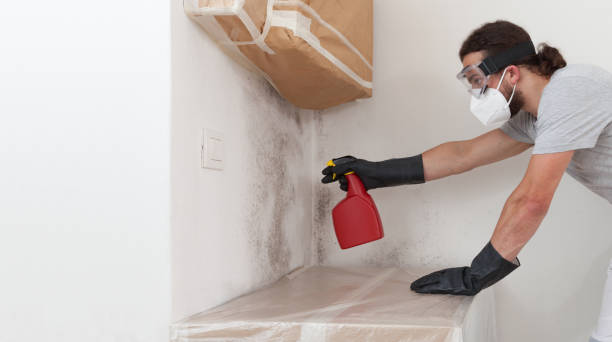 Professional Crawl Space Mold Remediation technician working in Far Hills, NJ