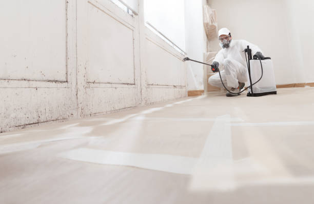 24/7 Emergency Crawl Space Mold Remediation experts in Far Hills, NJ