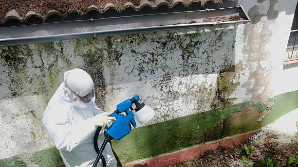 Top rated local Crawl Space Mold Remediation specialists in Far Hills, NJ